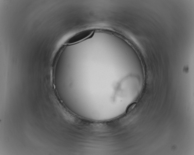 X0000092021320200709271541