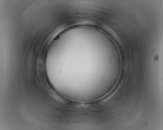 X0000092021321200709271541