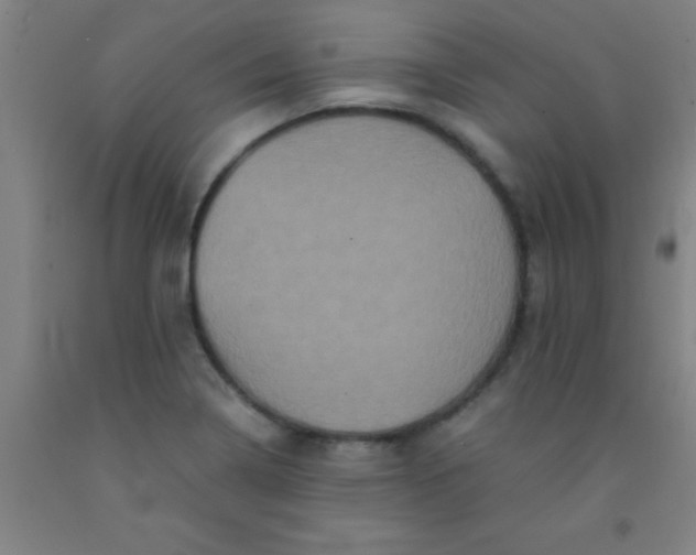 X0000092021322200709271541