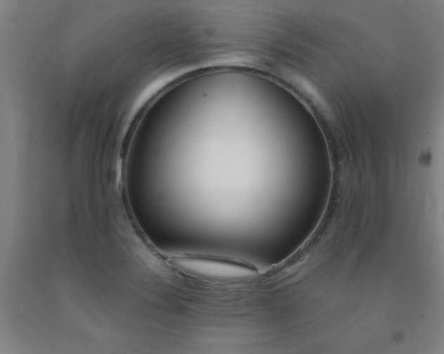 X0000092021324200709271541