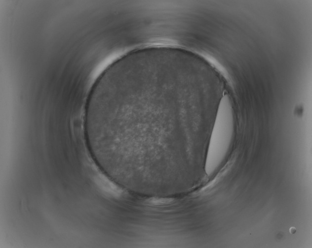 X0000092021325200709271541