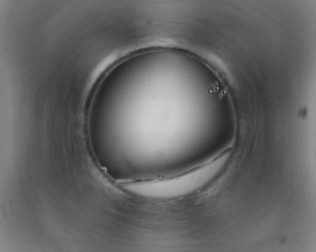 X0000092021326200709271541