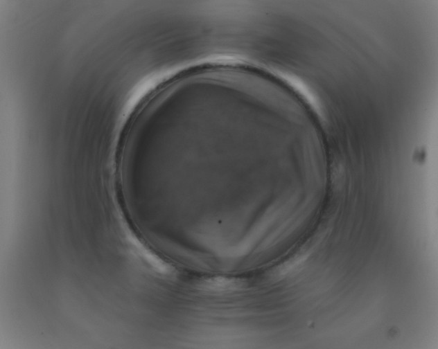 X0000092021327200709271541