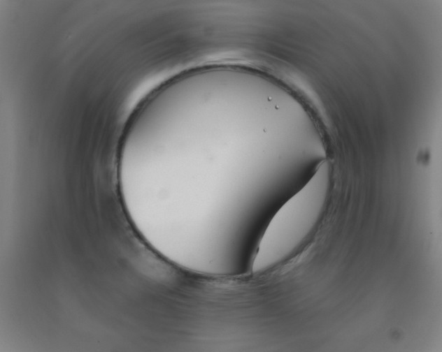 X0000092021328200709271541