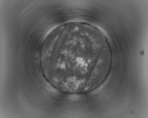 X0000092021329200709271541