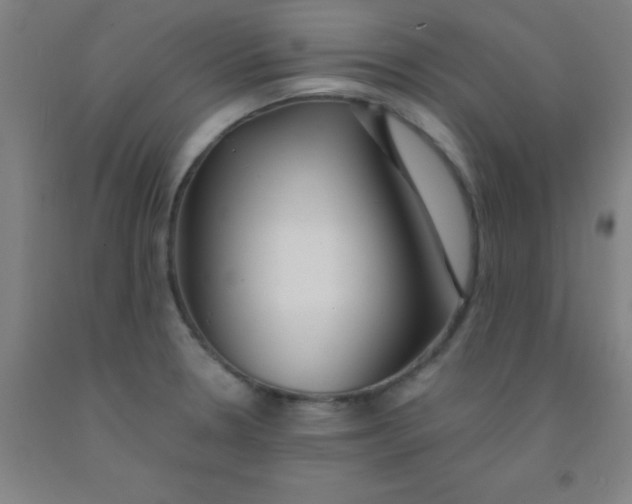 X0000092021330200709271541