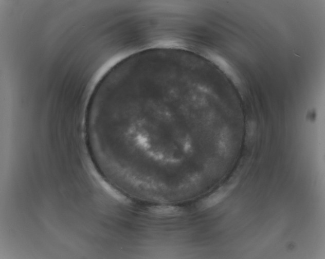 X0000092021331200709271541