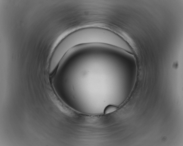 X0000092021332200709271541