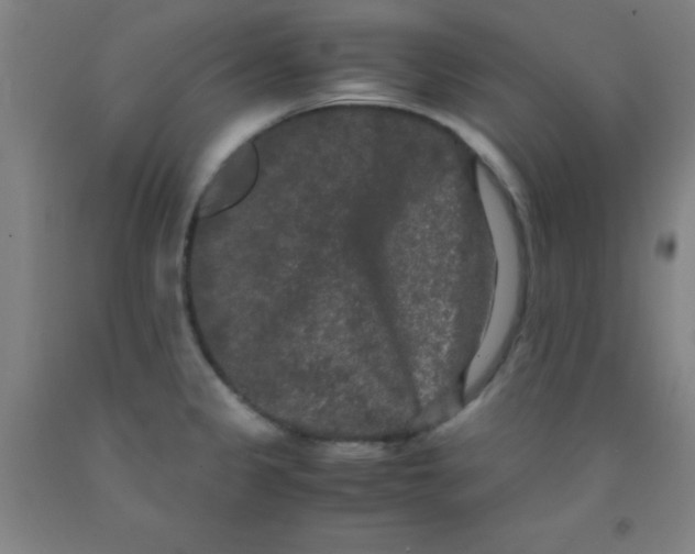 X0000092021333200709271541