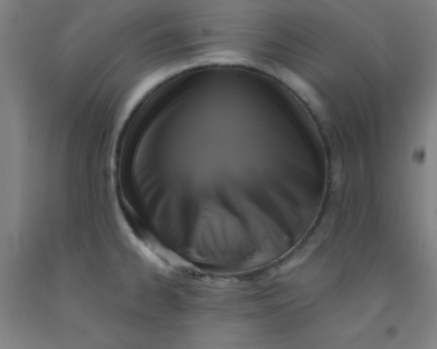 X0000092021334200709271541