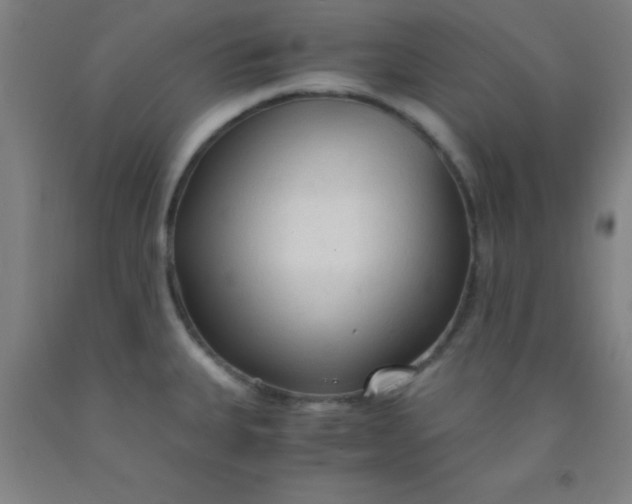 X0000092021335200709271541