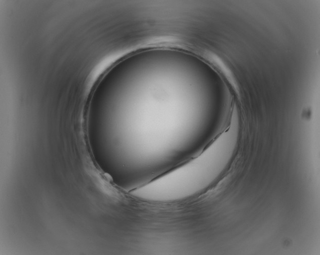 X0000092021336200709271541