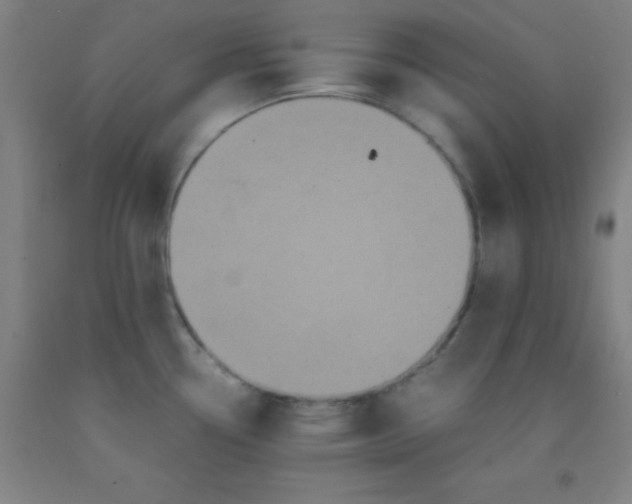 X0000092021338200709271541