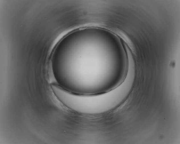 X0000092021340200709271541