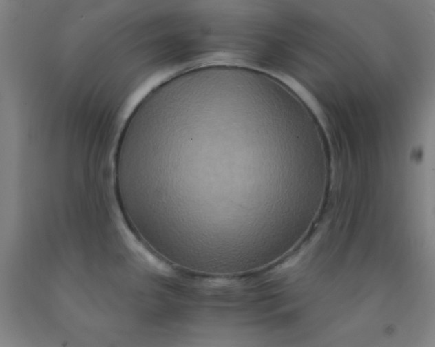 X0000092021341200709271541