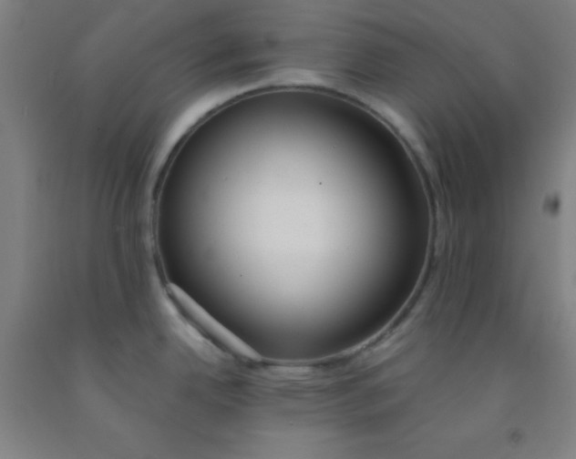 X0000092021342200709271541