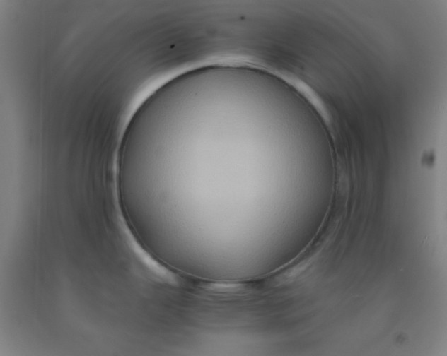 X0000092021343200709271541