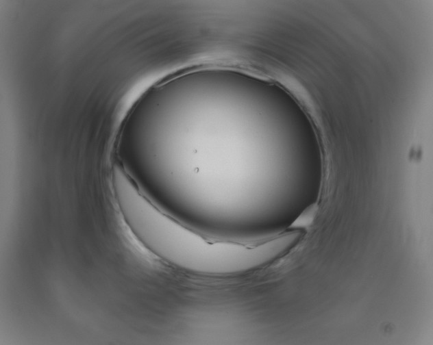 X0000092021344200709271541