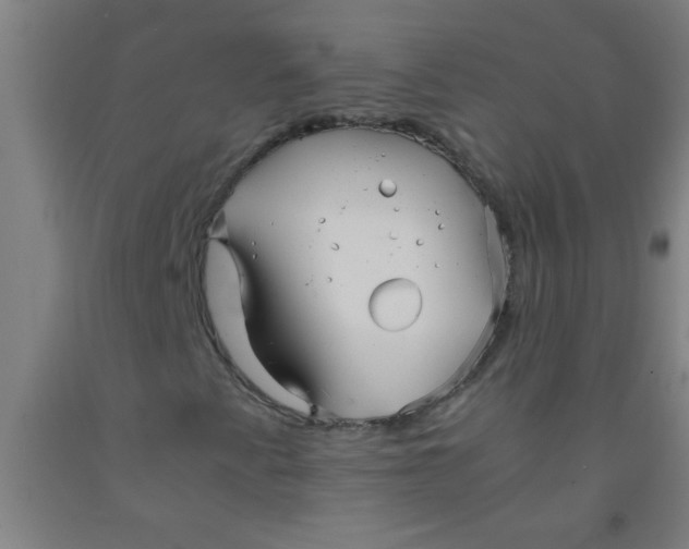 X0000092021345200709271541