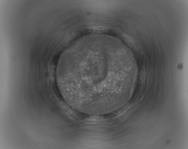 X0000092021346200709271541