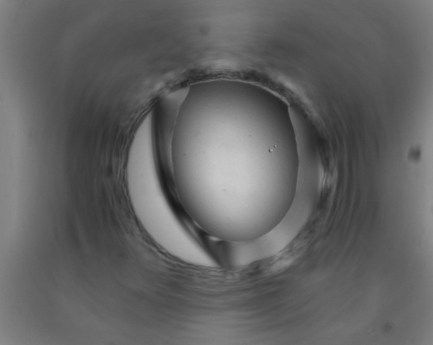 X0000092021348200709271541