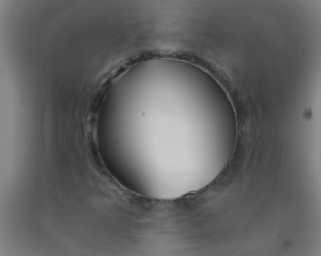 X0000092021349200709271541