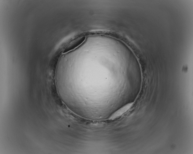 X0000092021351200709271541