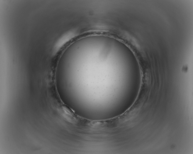 X0000092021352200709271541