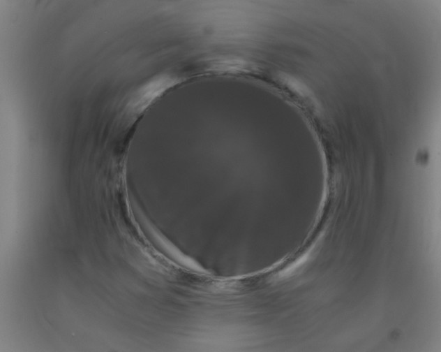 X0000092021353200709271541