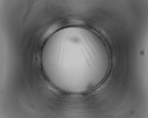 X0000092021354200709271541