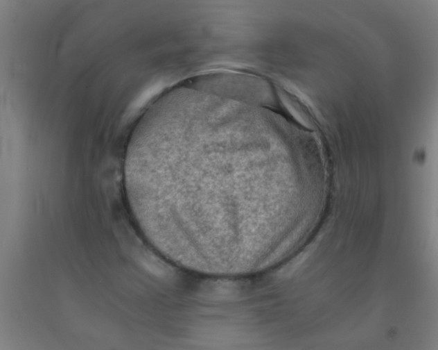 X0000092021355200709271541