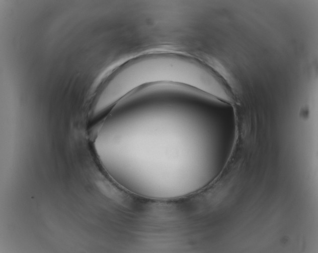 X0000092021356200709271541