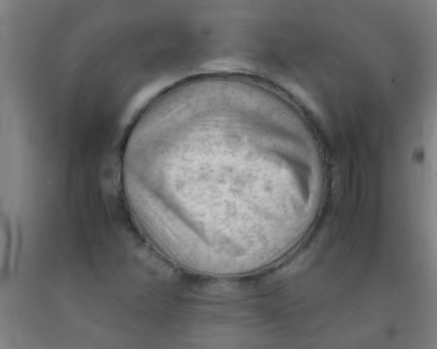 X0000092021358200709271541