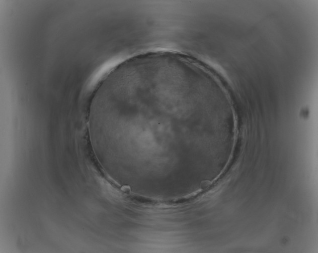 X0000092021359200709271541