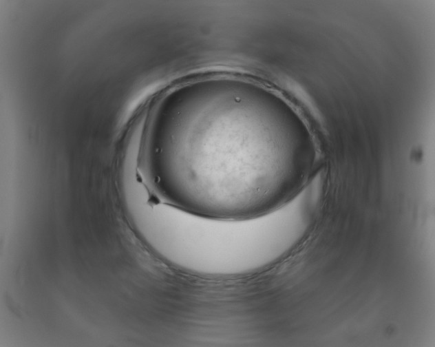 X0000092021360200709271541