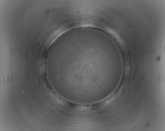 X0000092021361200709271541