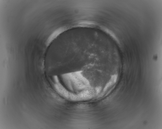 X0000092021362200709271541