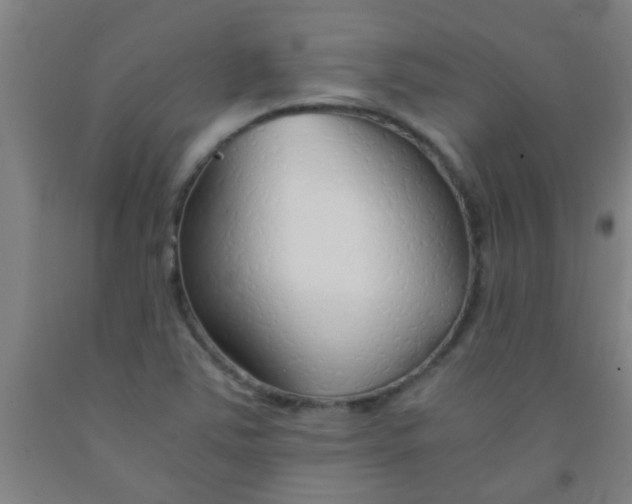 X0000092021363200709271541