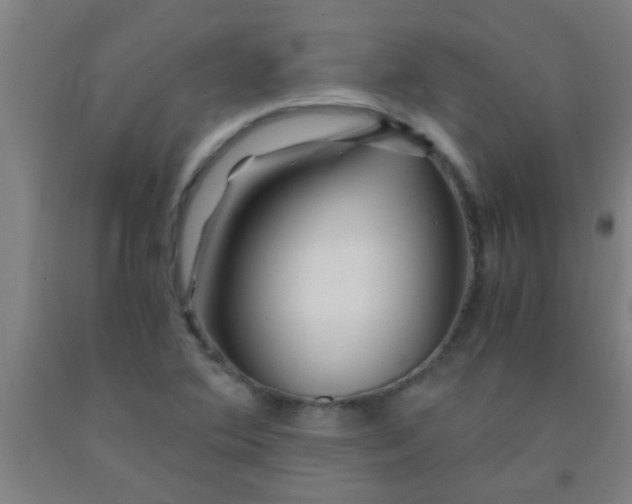 X0000092021364200709271541