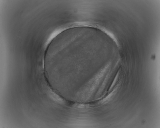 X0000092021365200709271541