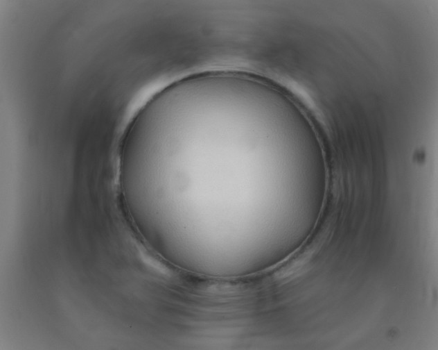 X0000092021366200709271541