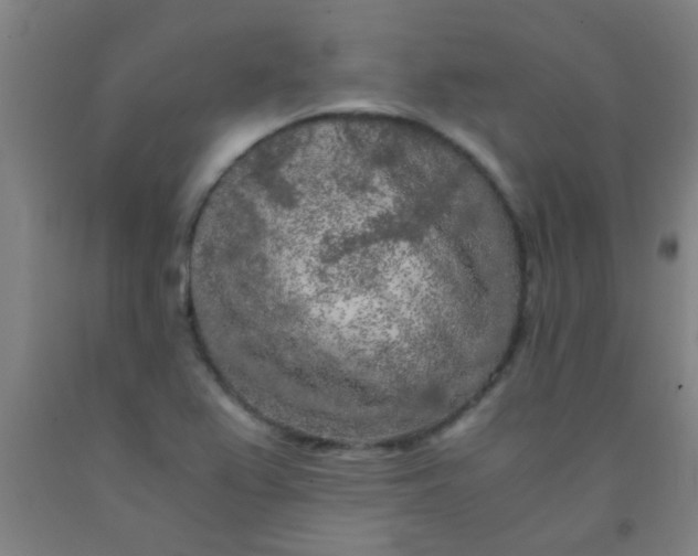 X0000092021367200709271541