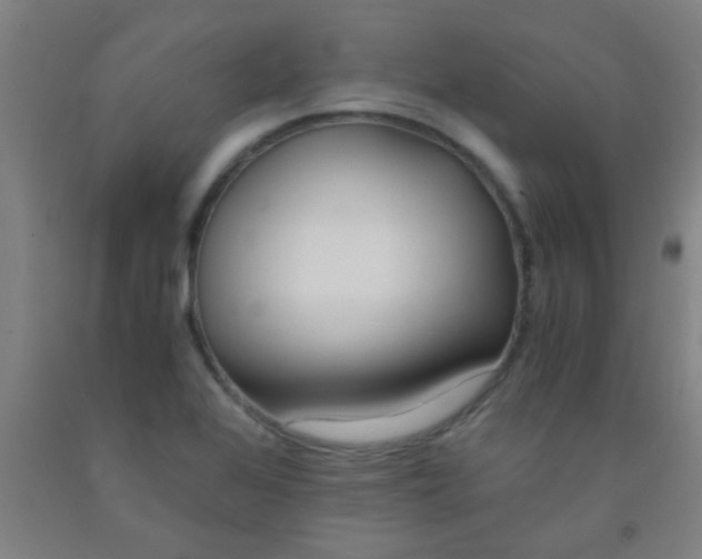 X0000092021368200709271541