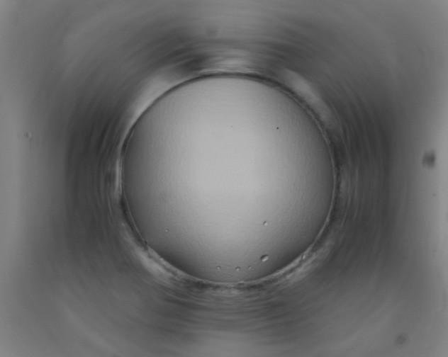 X0000092021370200709271541