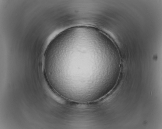 X0000092021371200709271541