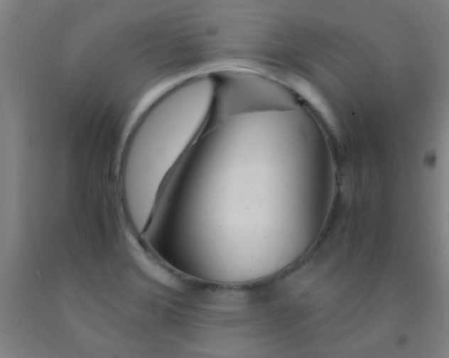 X0000092021372200709271541