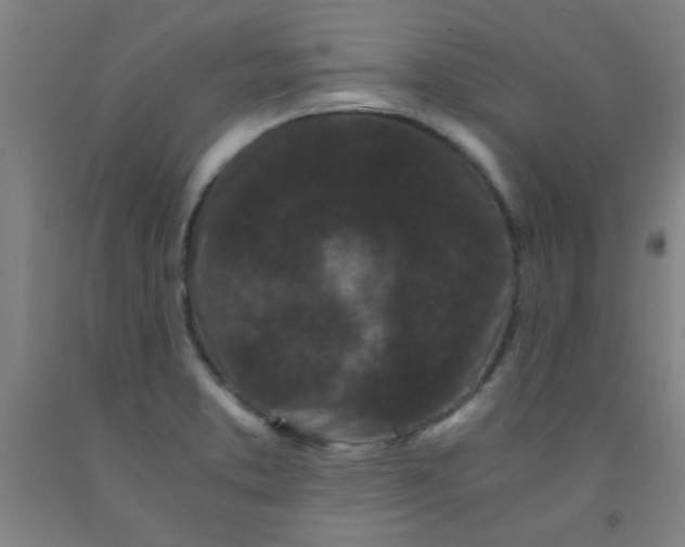 X0000092021373200709271540