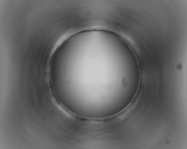 X0000092021374200709271540