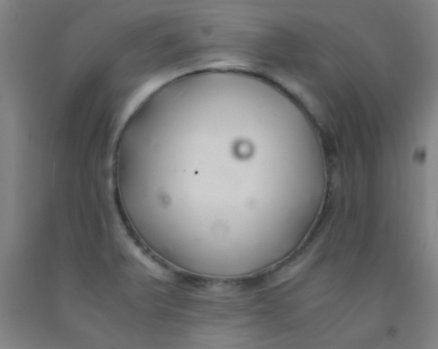 X0000092021375200709271540