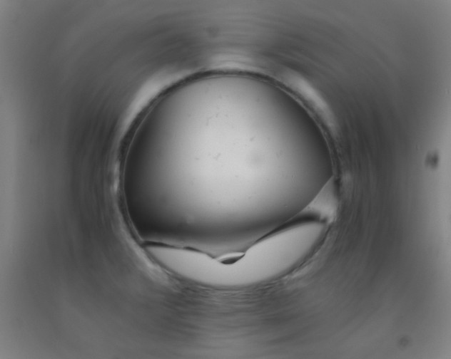 X0000092021376200709271540